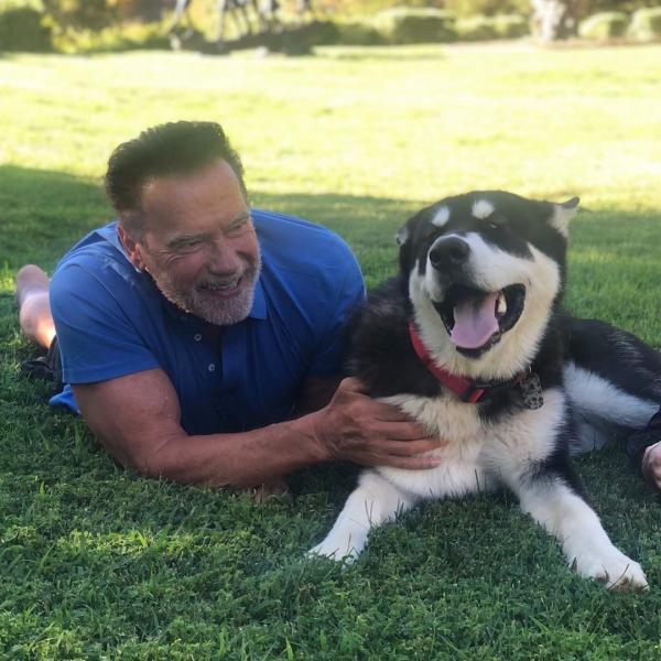 Arnold Schwarzenegger, instagram