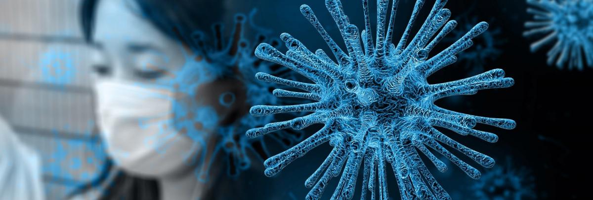 Coronavirus, pixabay/ autor Gerd Altmann 