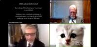Un avocat a intrat într-o conferință cu un filtru de pisică. Captură foto Twitter
