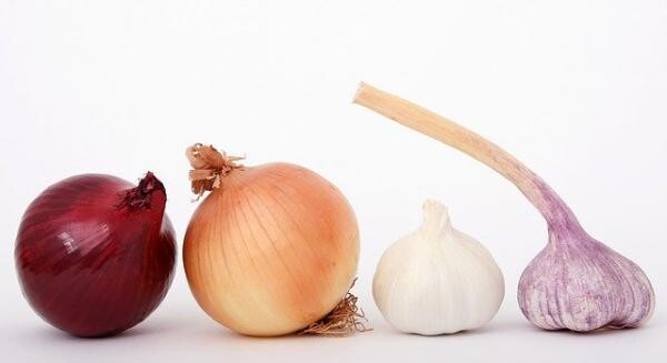 Ceapa și usturoiul, beneficii surprinzătoare pentru sănătate. Foto Pixabay/ Autor Shutterbug75