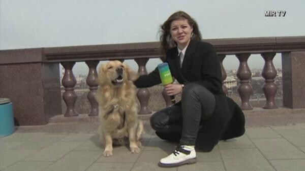 Un câine a "furat" microfonul unei jurnaliste TV din Rusia; Captura foto YouTube
