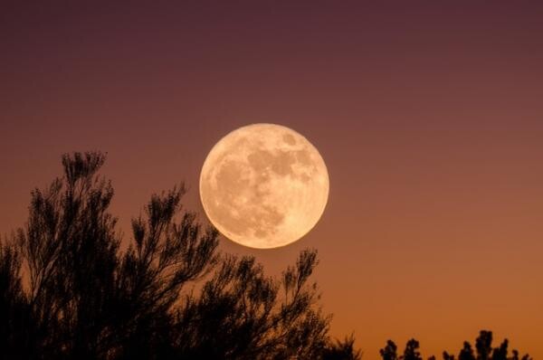 Luna Plina. Foto Unsplah/ Autor Ganapathy Kumar
