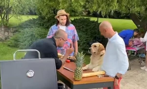 Hooka, câinele vegan, alături de Andrei Roșu, Smiley și Chef Samuel, captură foto Facebook