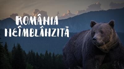 „România neîmblânzită” - un documentar-eveniment, pentru prima dată la un canal de televiziune românesc